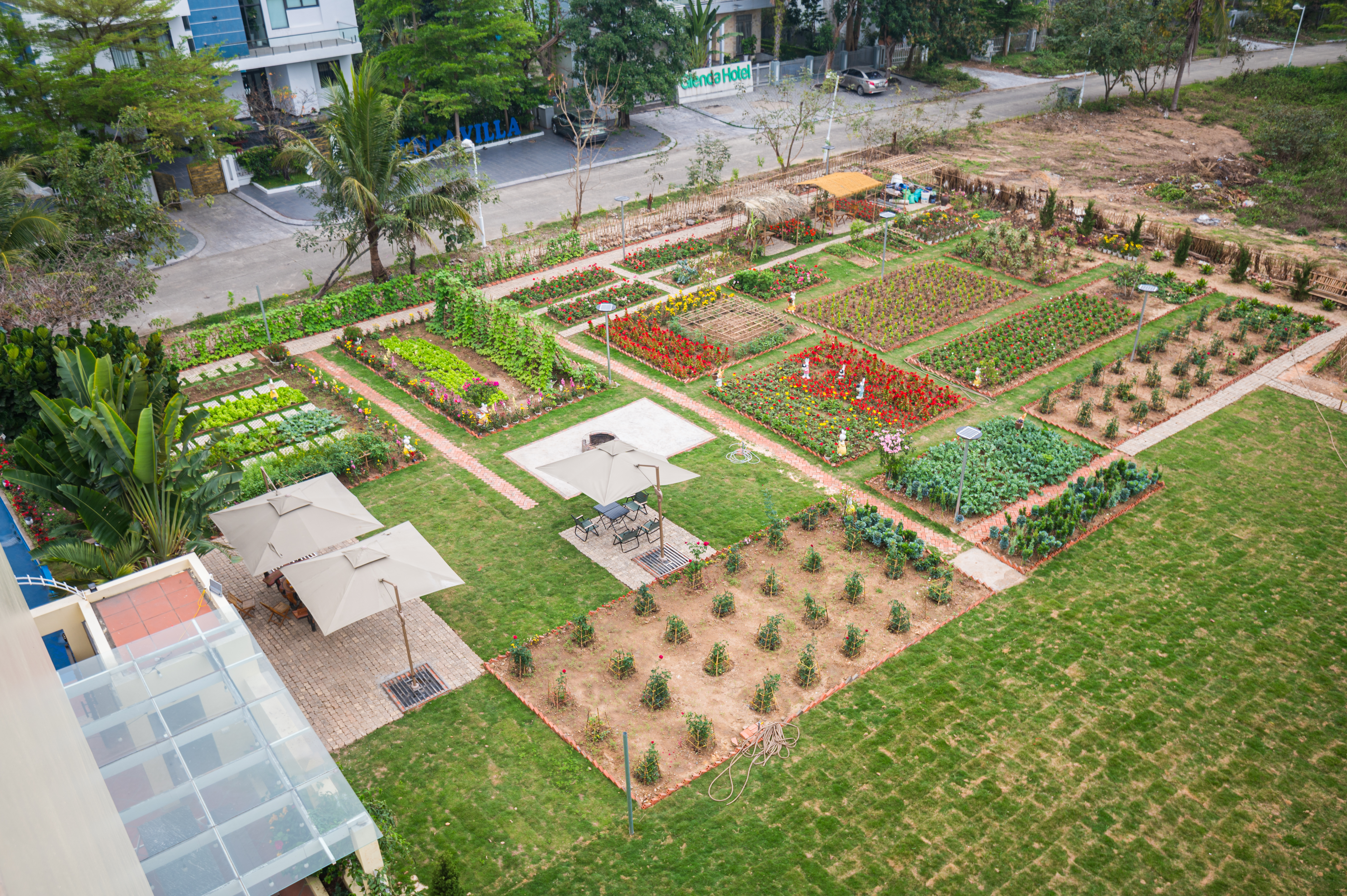 Vườn hoa